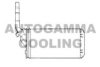 AUTOGAMMA 101677 Heat Exchanger, interior heating